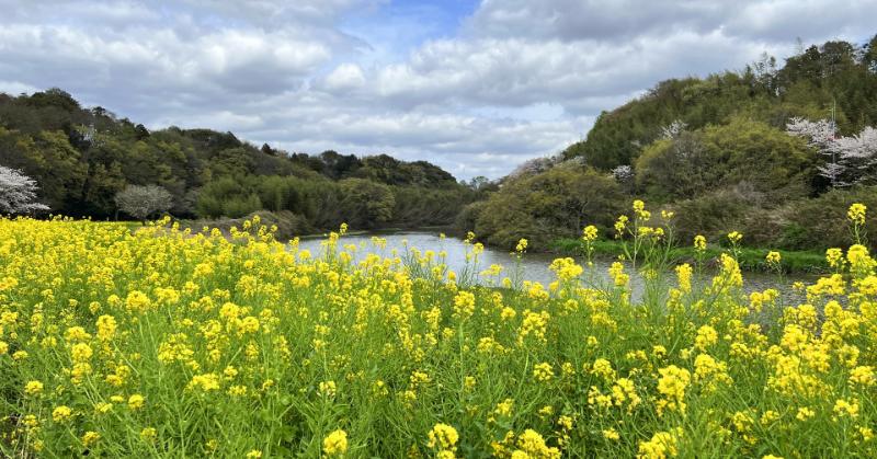 千葉県花見川区散策