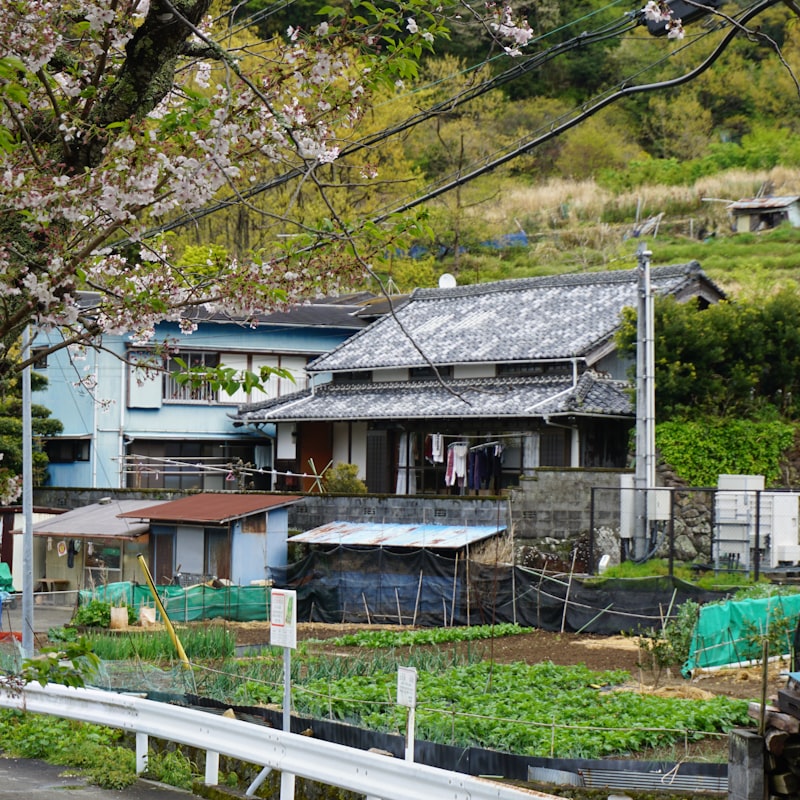 Shizuoka Gourmet Drive