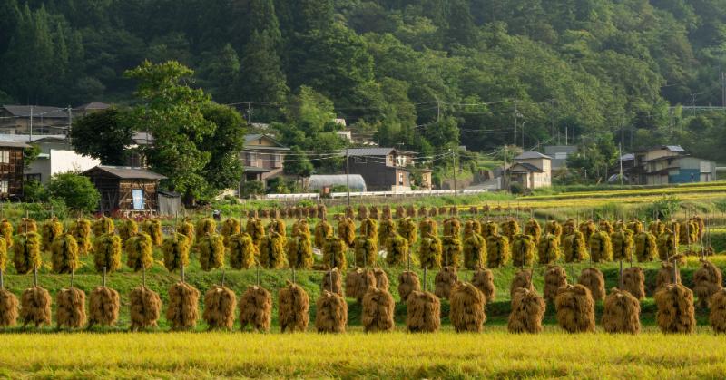 ニット産業を支える山辺町
