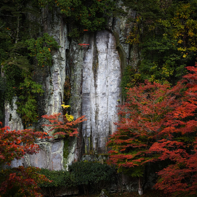 Nara's Buddha Statues & Art Tour