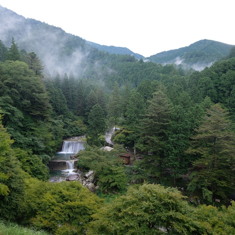 Iwate Nature Tour