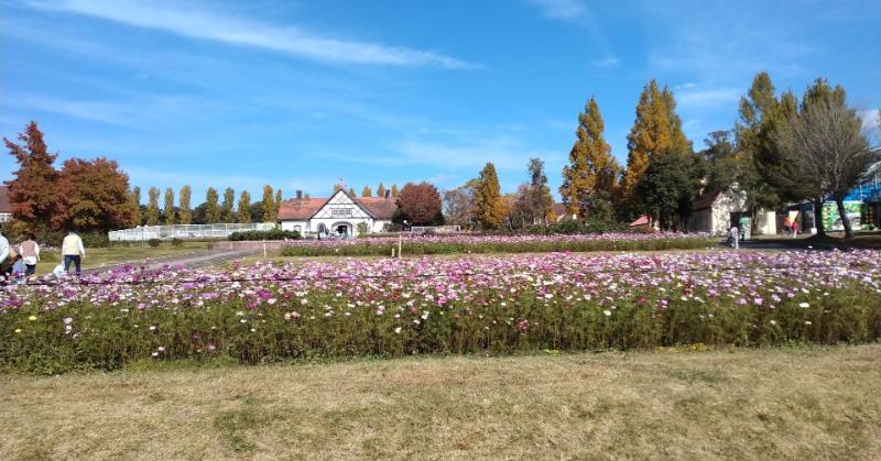 日野町の近江日野商人