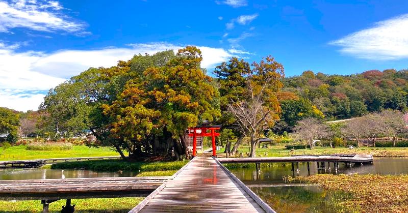 Nakai's Countryside Landscapes
