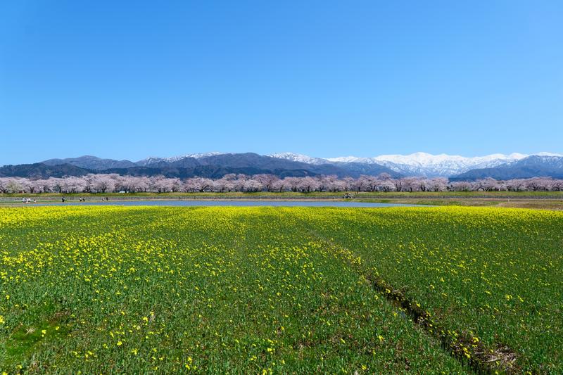 Toyama Stroll