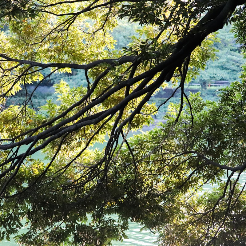 Saitama Outing Spots