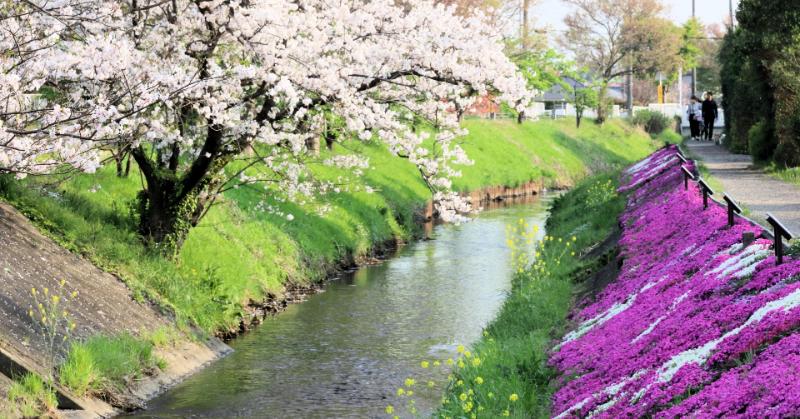 歴史と文化のまち伊勢原市