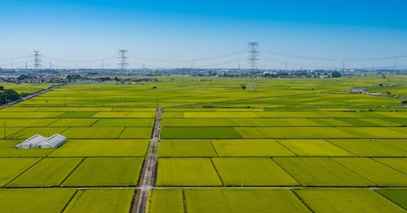 History and Nature of Joso City