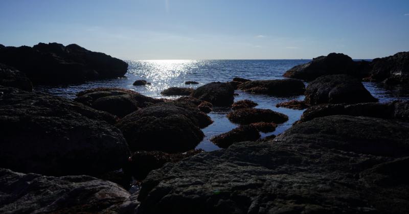 海と山に挟まれたまち、八峰町