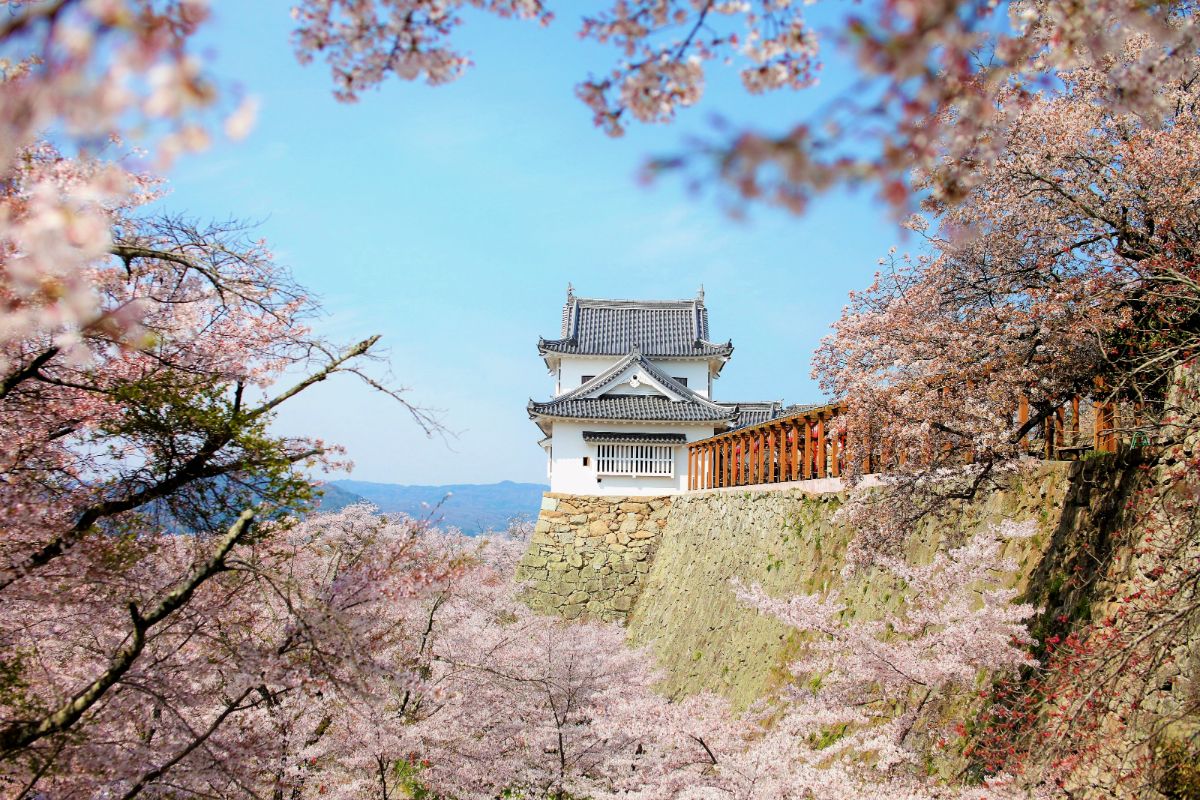 津山城 (鶴山公園)