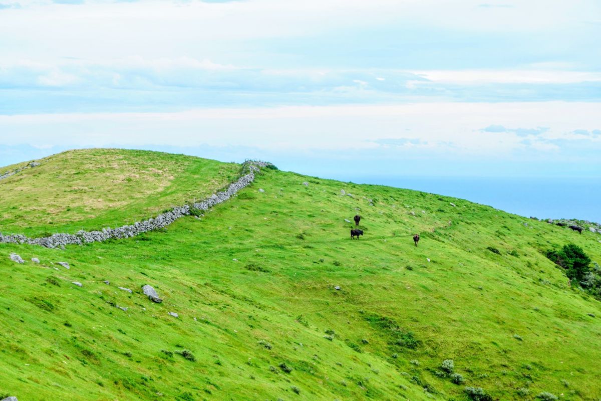 知夫里島の名垣