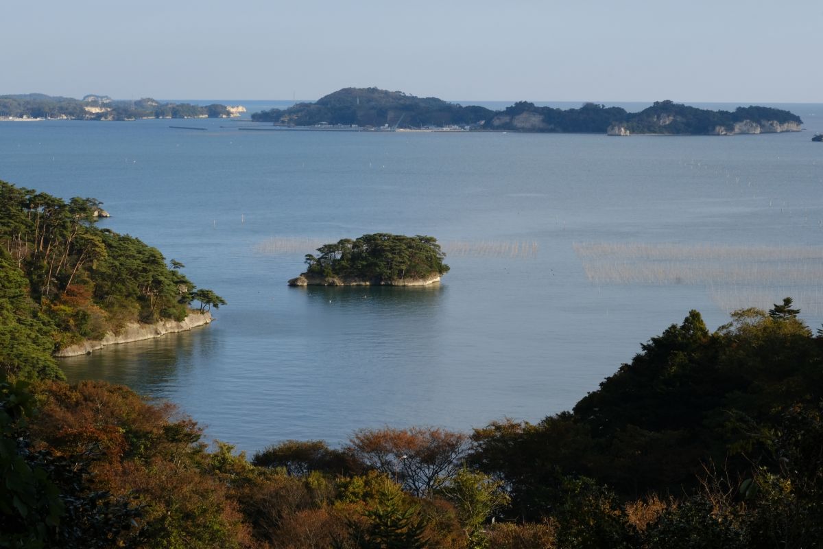 扇谷