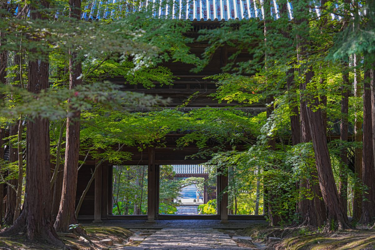 曹源寺