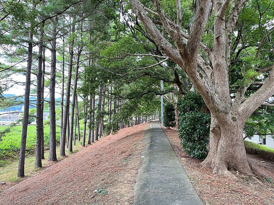 広村堤防