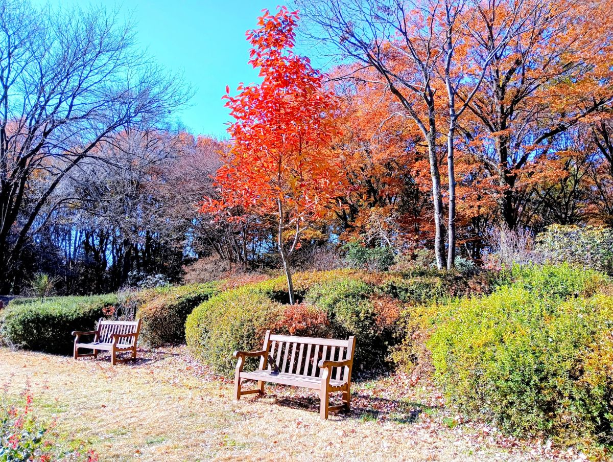 Akagi Nature Park