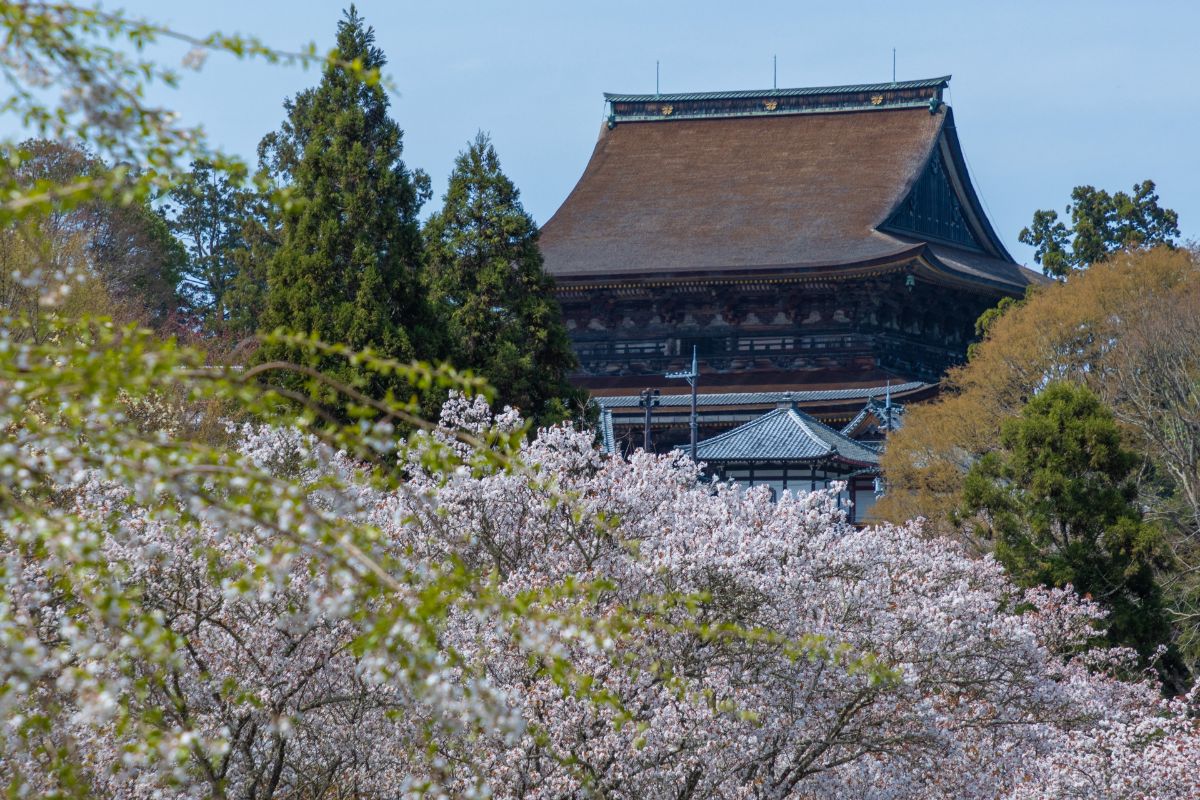 国軸山 金峯山寺
