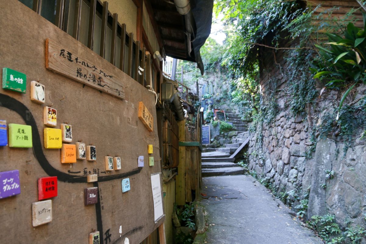 猫の細道