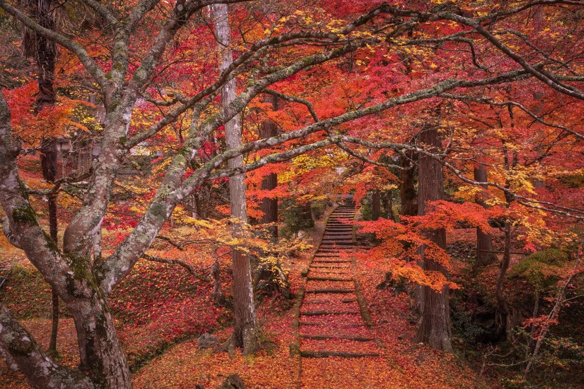 玉寶山 龍穏寺