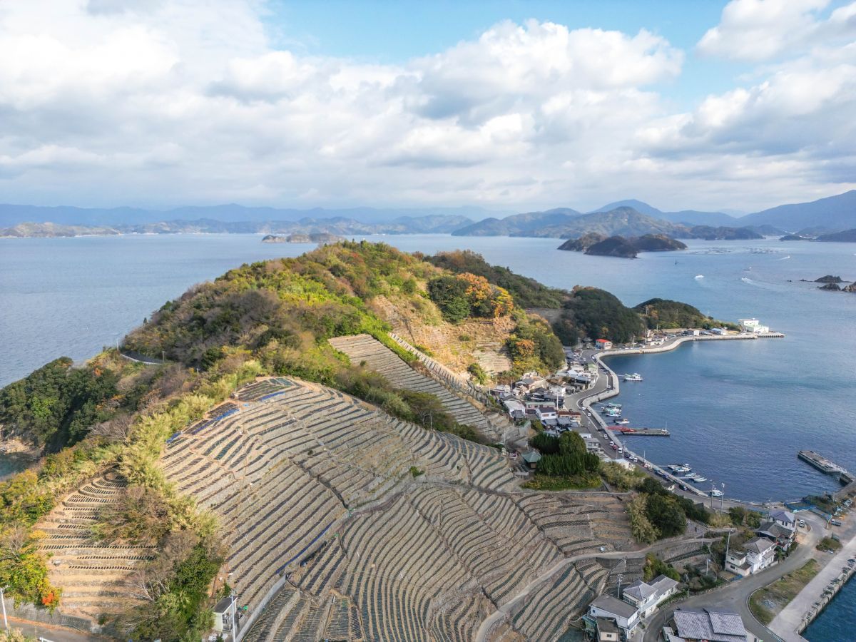 Yusumizugaura Terraced Fields
