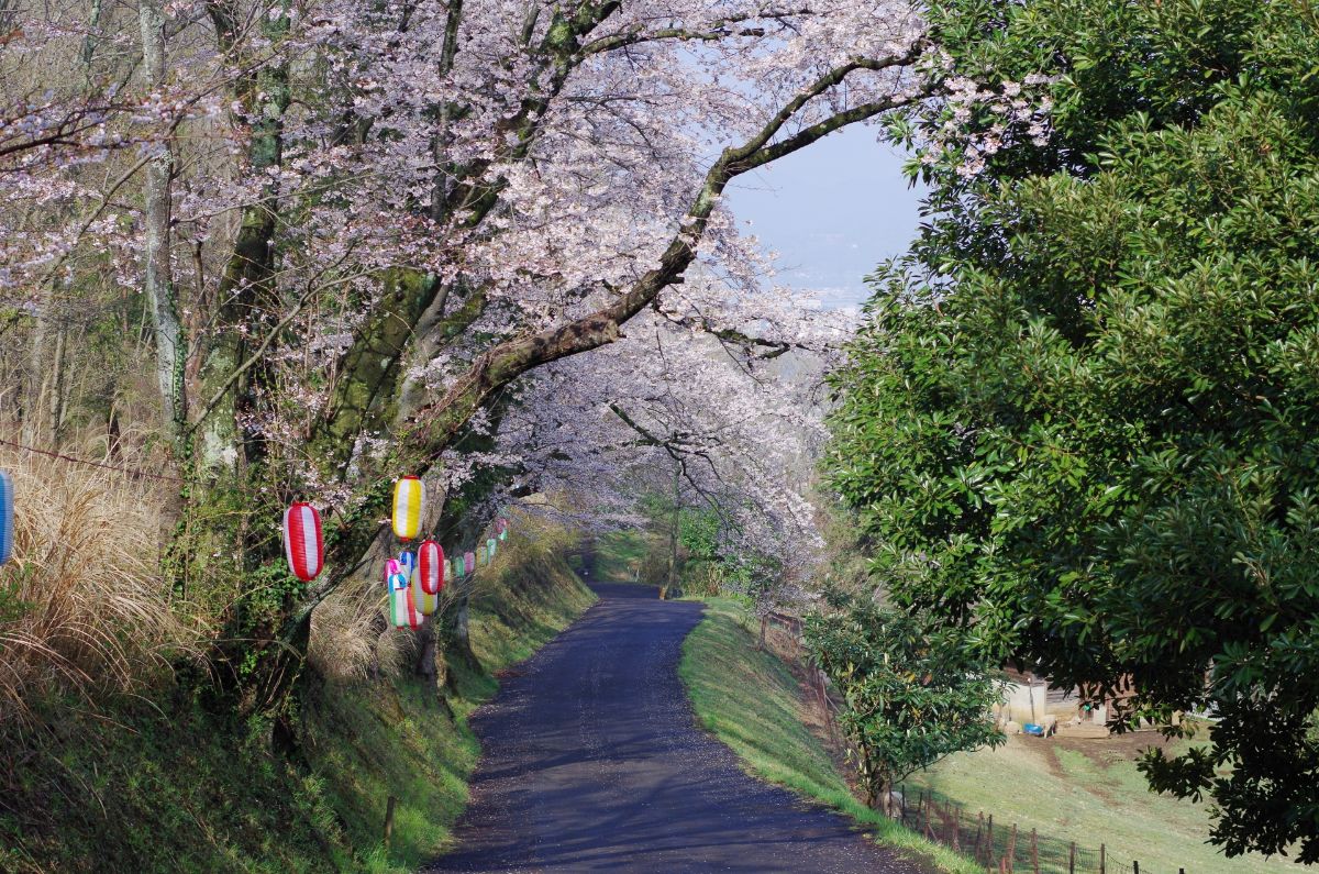 弘法山公園