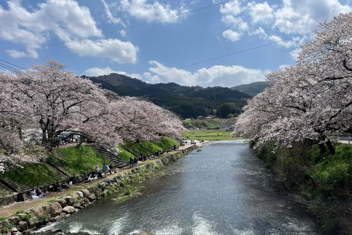 美祢市役所