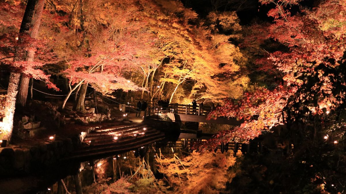 岩屋堂公園