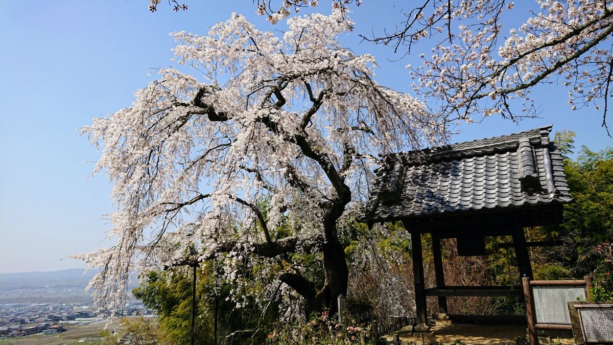 地蔵禅院