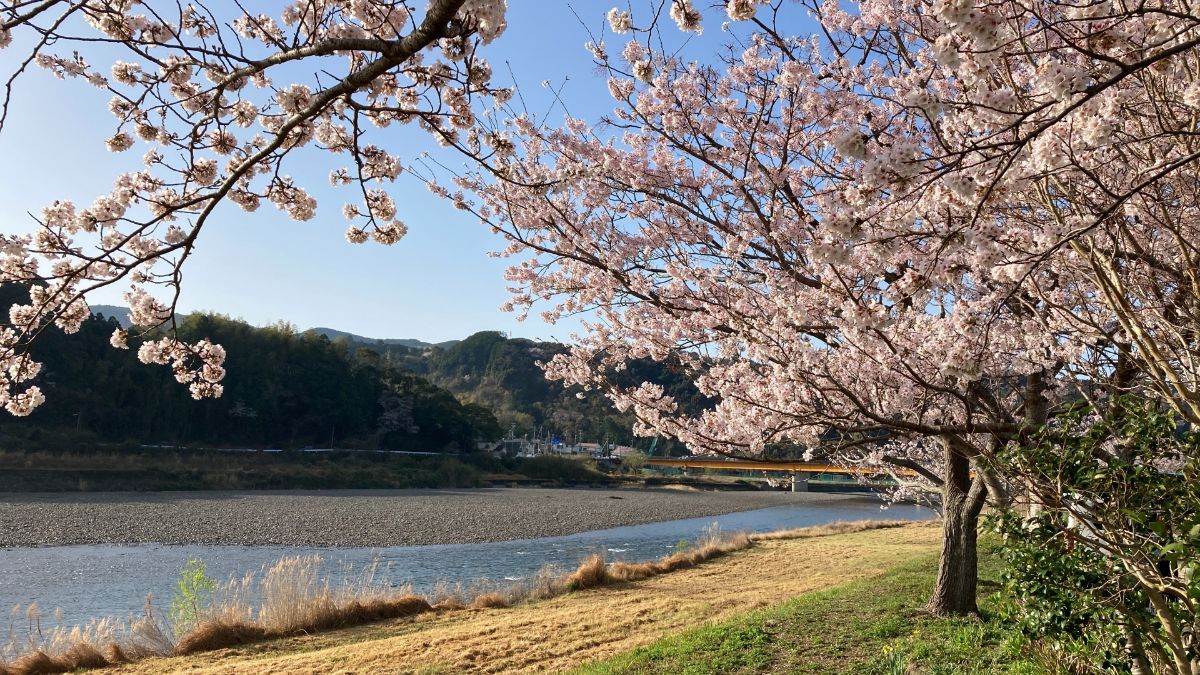 Hikogoro Park