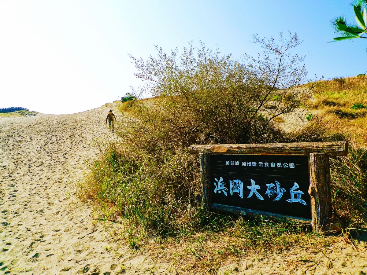 浜岡砂丘
