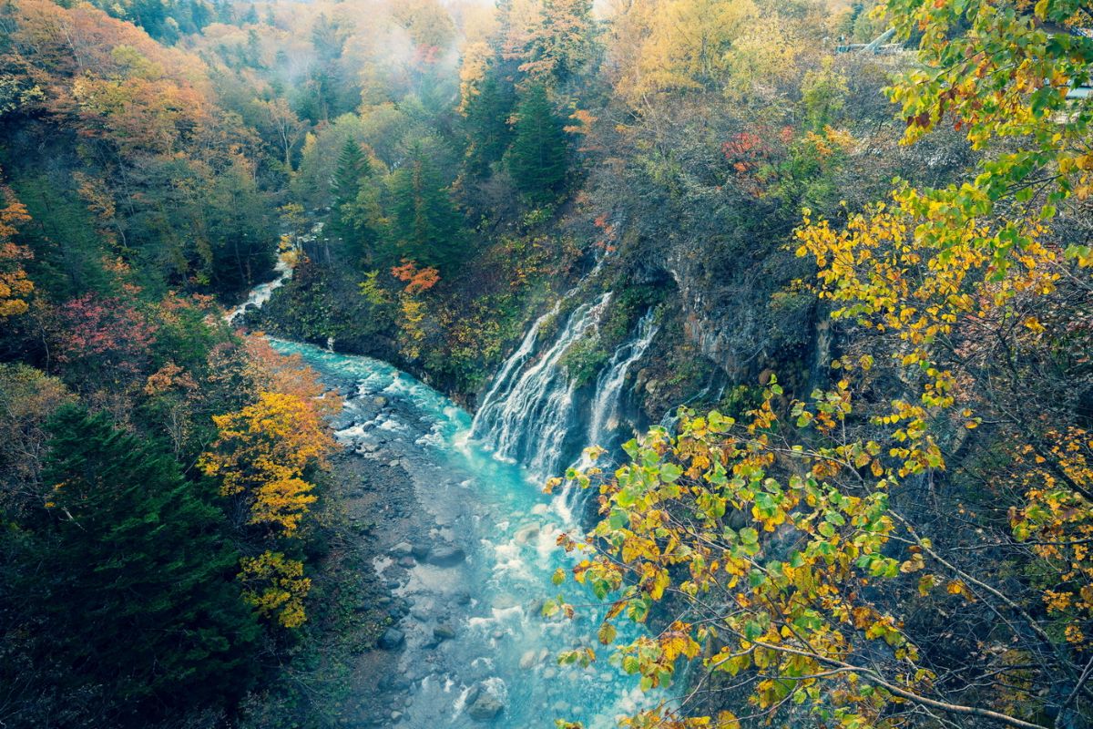 白ひげの滝