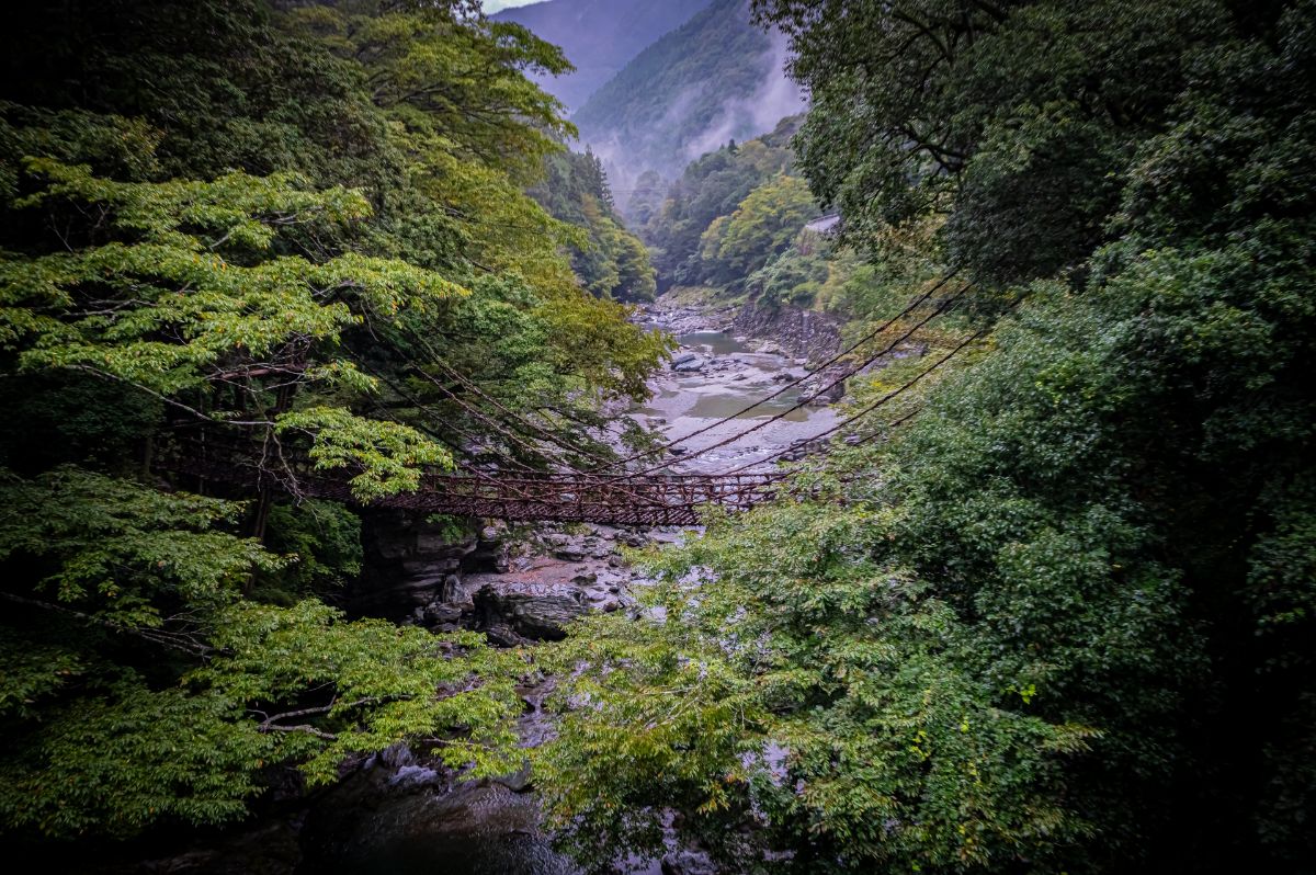 Iya Valley Vine Bridge