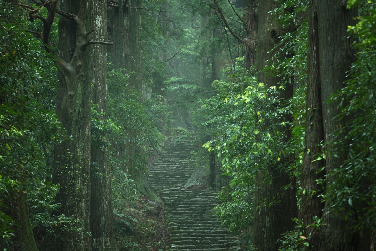 Kumano Kodo - Nakahechi Daimon-saka Pilgrim Route