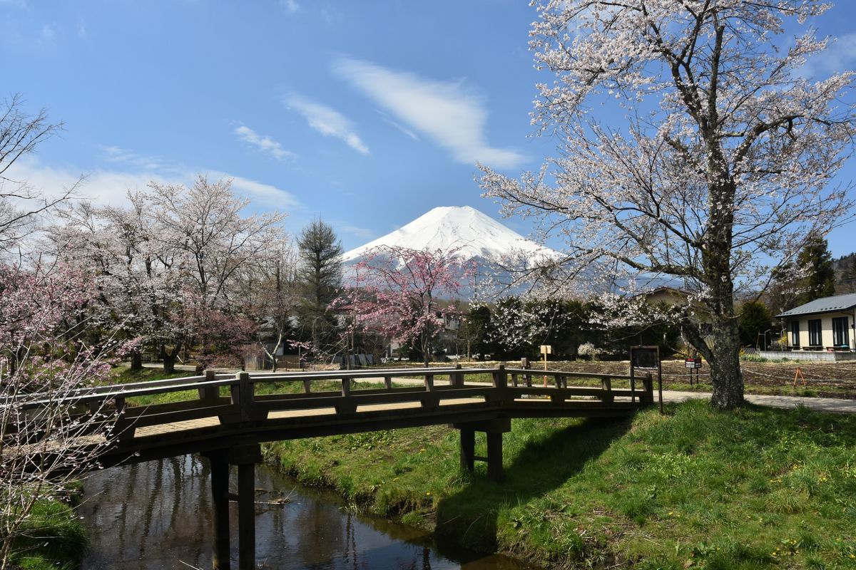 Oshino hakkai