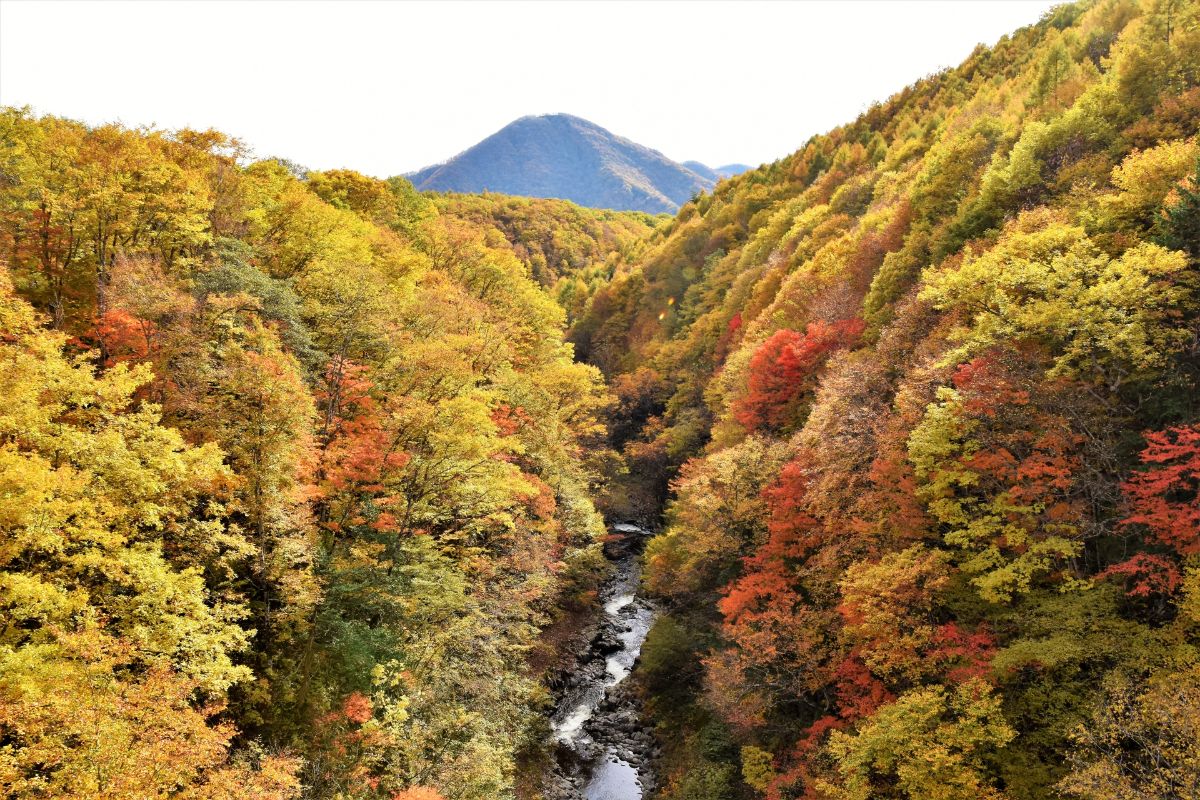 中津川渓谷