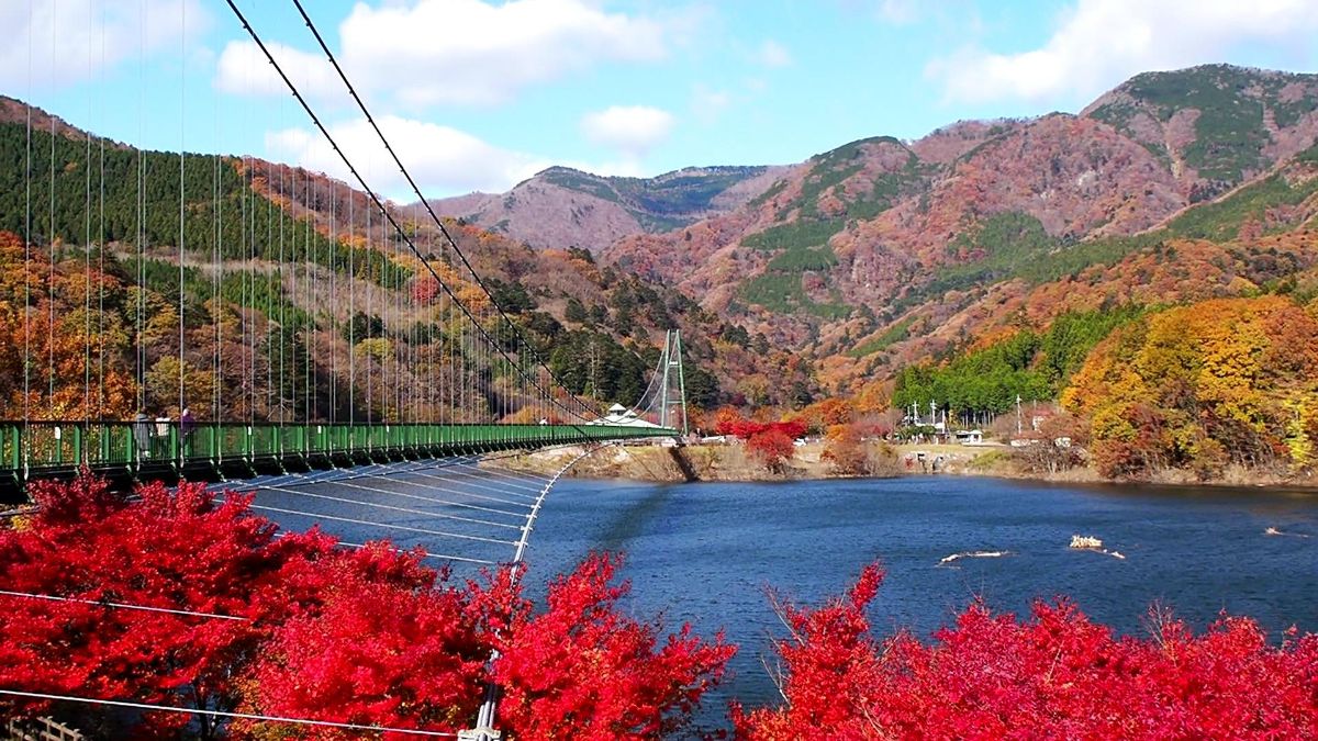森林の駅/もみじ谷大吊橋