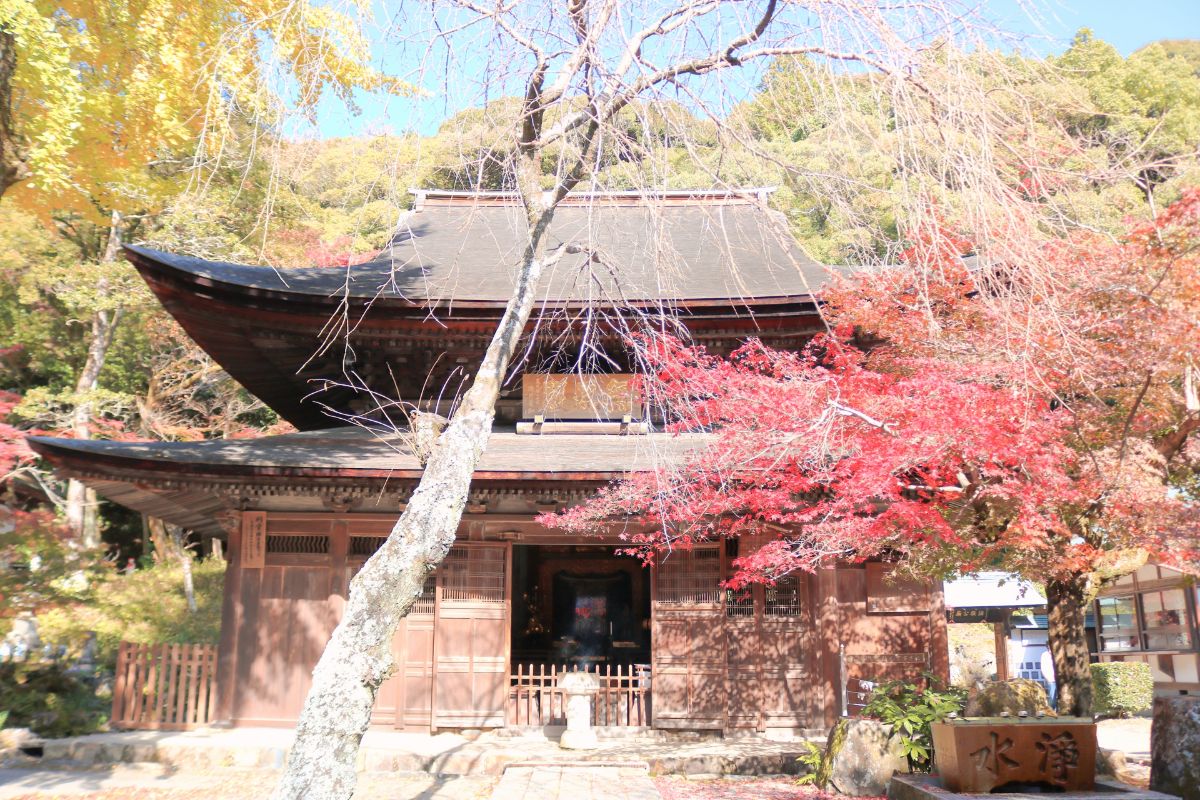 応夢山 定光寺