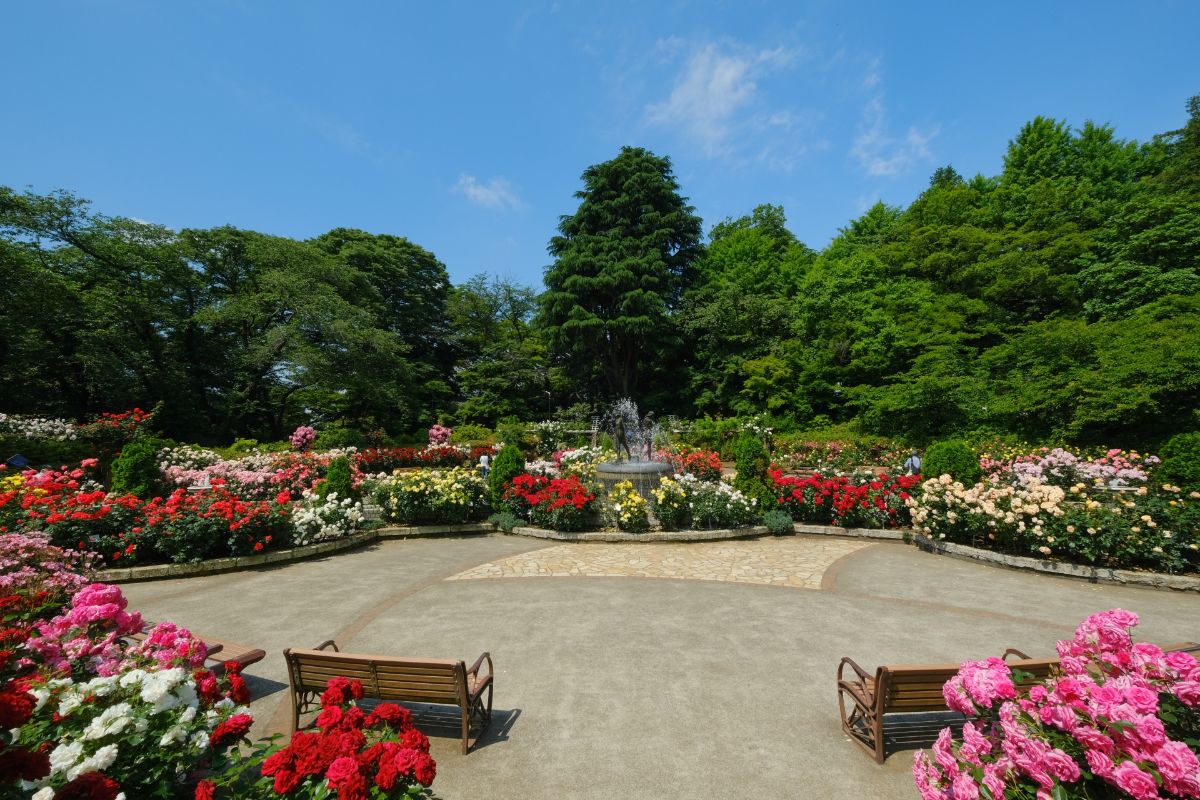 里見公園