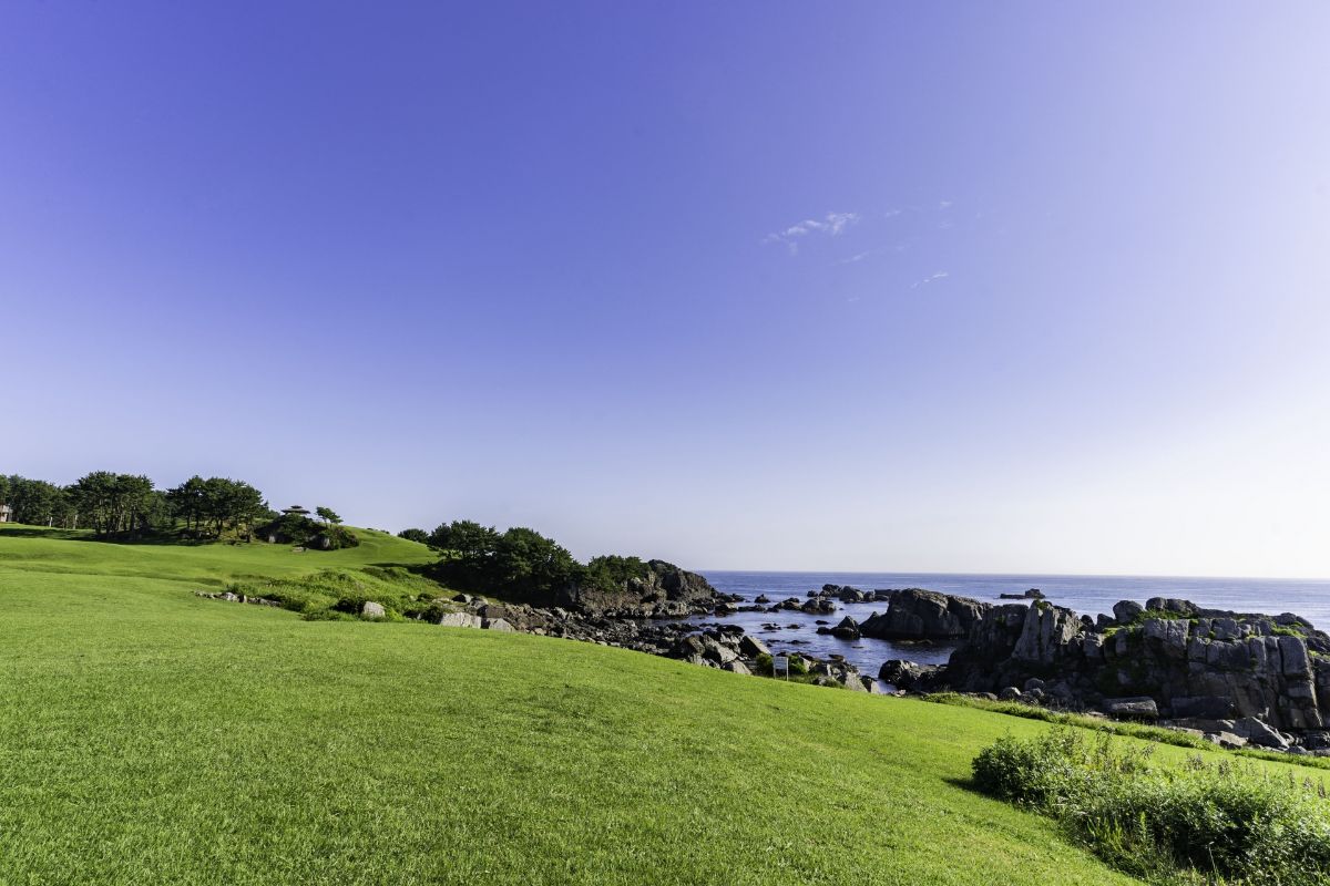 種差海岸