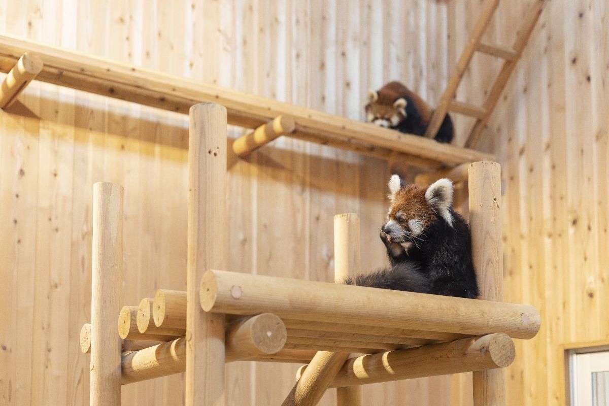 西山動物園