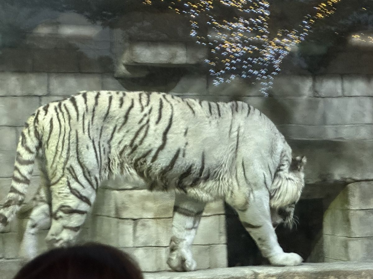 Tobu Zoo