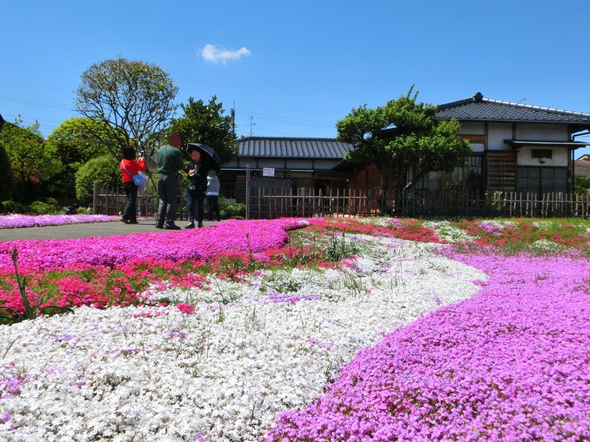 郭沫若記念公園
