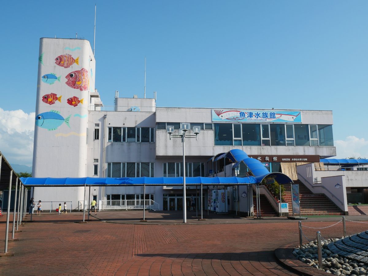 魚津水族館