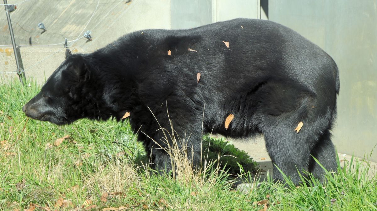 豊橋総合動植物公園 のんほいパーク