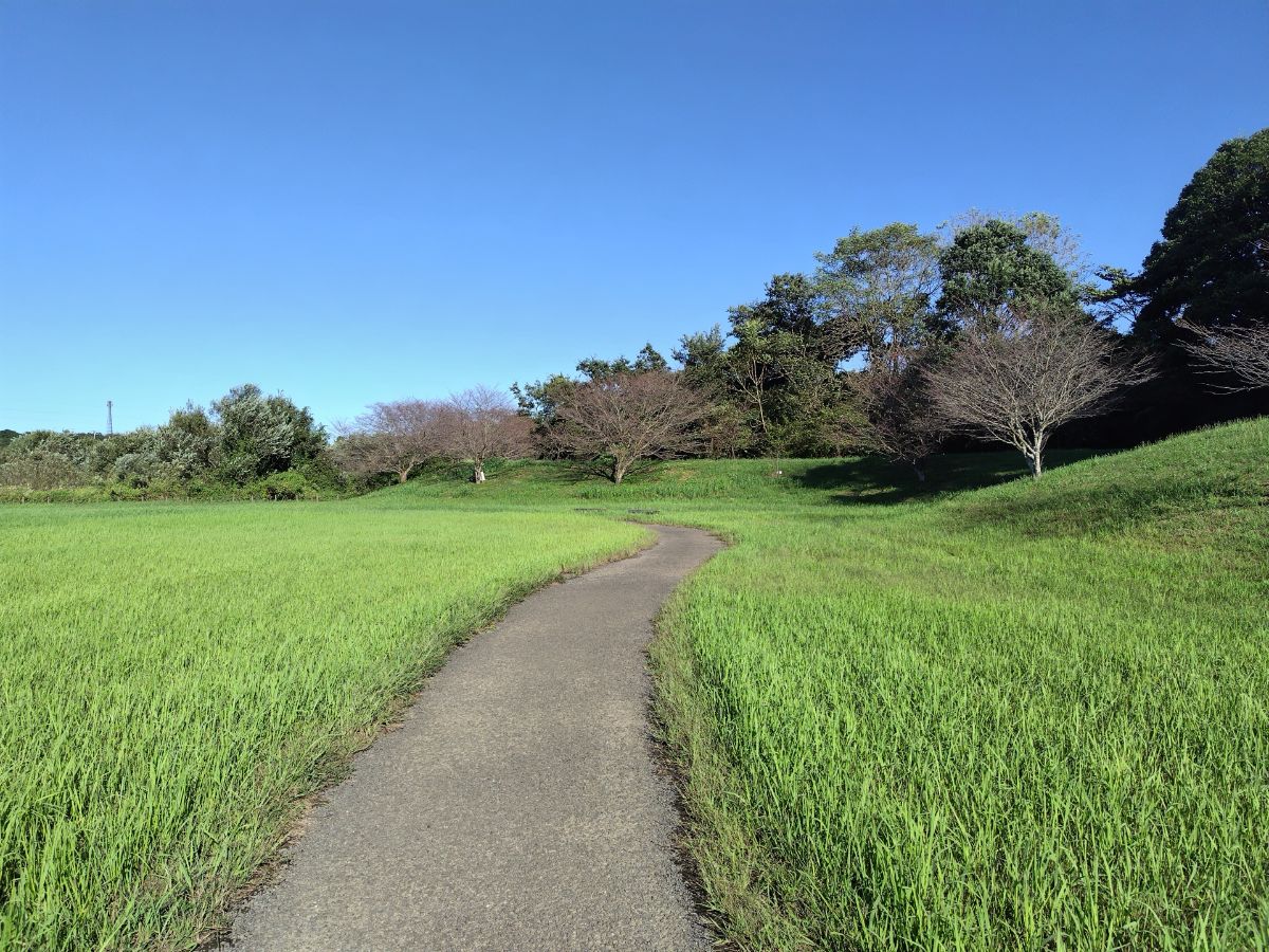 守谷城址公園