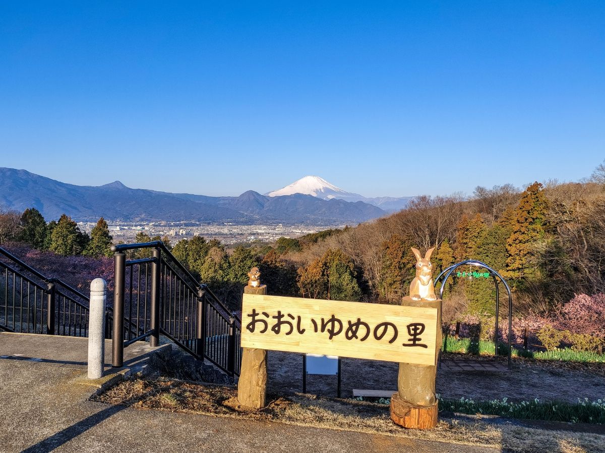 おおいゆめの里