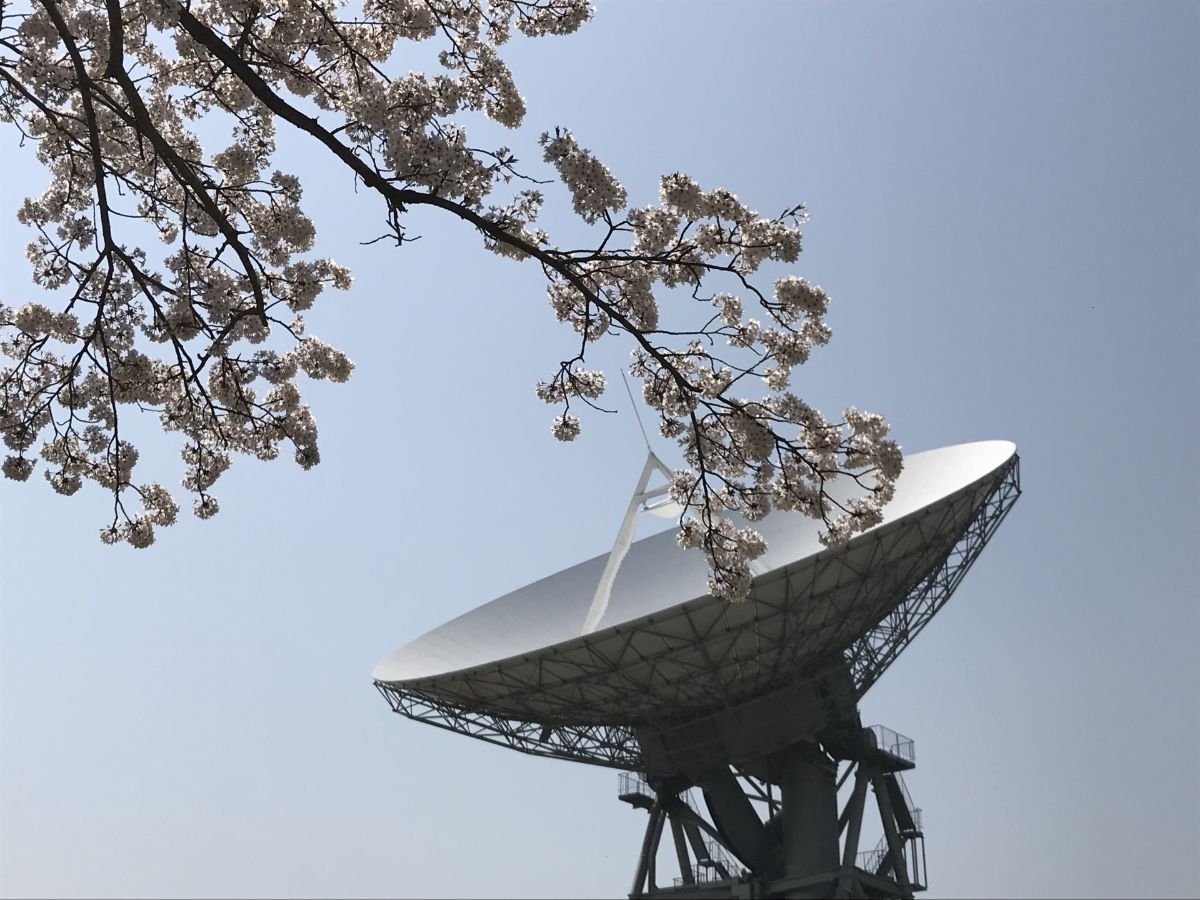 高萩市衛星通信記念公園(さくら宇宙公園)