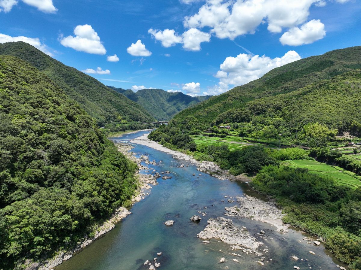 屋形船 四万十の碧