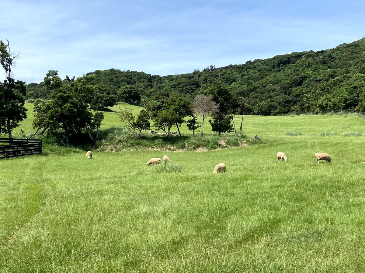 Awaji Farm Park England Hill