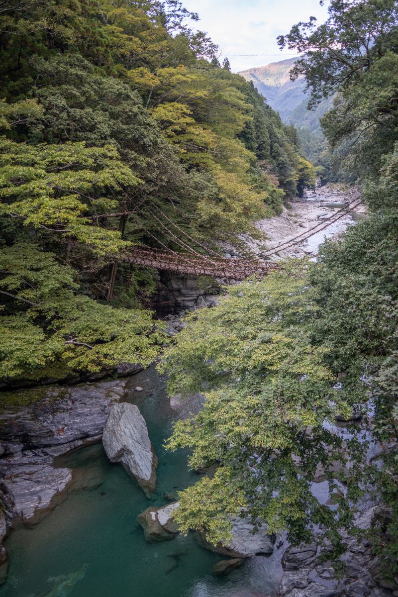 Iya Valley Vine Bridge