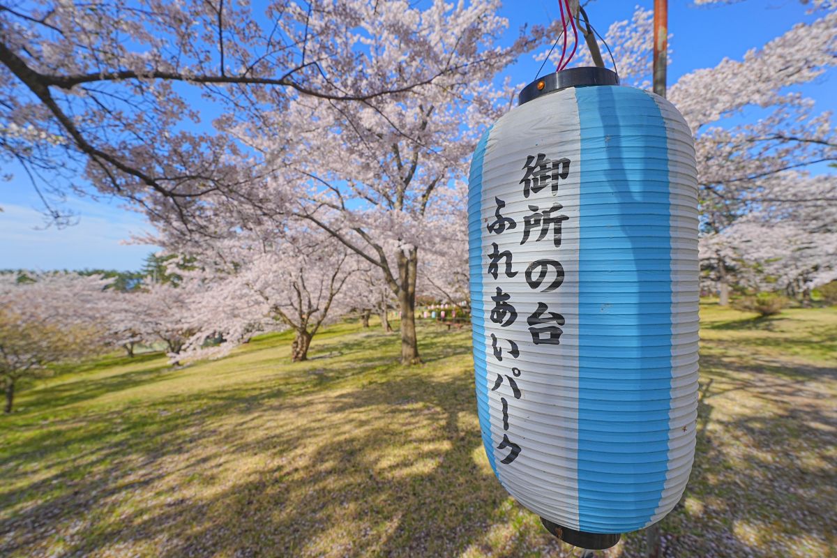 御所の台