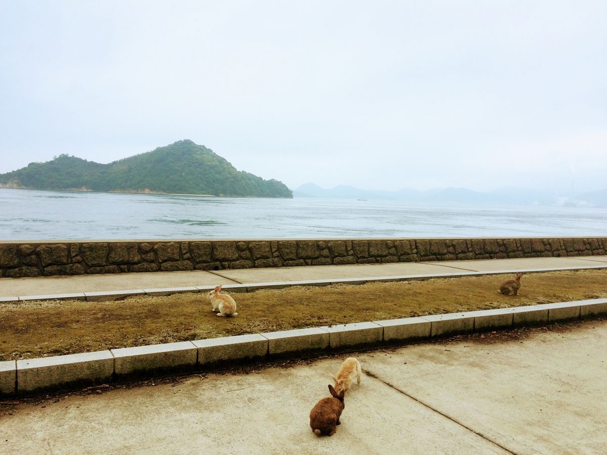 Ōkunoshima